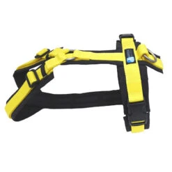 Annyx Geschirr Fun Schwarz/gelb (Limited Edition)