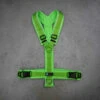 Annyx Geschirr Protect Leuchtgrün/hellgrün (Limited Edition) -Ruffwear Verkaufsgeschäft annyx brustgeschirr protect limitededition leuchtgruCC88nhellgruCC88n