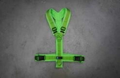 Annyx Geschirr Protect Leuchtgrün/hellgrün (Limited Edition)