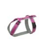 Annyx Geschirr Fun Grau / Pink 2 Annyx Geschirr Fun Grau / Pink -Ruffwear Verkaufsgeschäft brustgeschirr fun grau pink