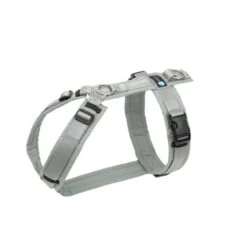 Annyx Geschirr Fun Grau / Silber