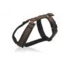 Annyx Geschirr Fun Schwarz / Braun -Ruffwear Verkaufsgeschäft brustgeschirr fun schwarz braun s