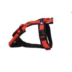 Annyx Geschirr Fun Schwarz/rot