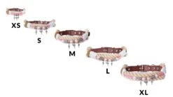 Emmy & Pepe Wau-Shine Halsband Mit Perlen Lollipop 7 Emmy & Pepe Wau-Shine Halsband Mit Perlen Lollipop -Ruffwear Verkaufsgeschäft collars2Bsizes2Bcollars2Bsizes2Bbeige 1920x1920