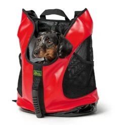 Hunter Rucksack/Tragetasche Taylor 35x20x40cm -Ruffwear Verkaufsgeschäft e GMcvpf 67558 002 image 20