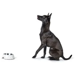 Hunter Melamin Napf Baku Weiß/grau -Ruffwear Verkaufsgeschäft e Hv24zP 67656 001 image 19