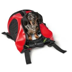 Hunter Rucksack/Tragetasche Taylor 35x20x40cm -Ruffwear Verkaufsgeschäft e gZKDu8 67558 001 image 20