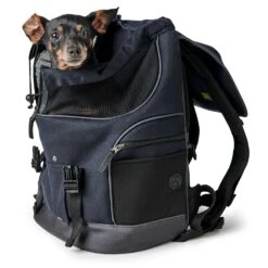 Hunter Rucksack Madison 35x20x42cm Schwarz 13 Hunter Rucksack Madison 35x20x42cm Schwarz -Ruffwear Verkaufsgeschäft e jxh9wF 67681 001 image 19