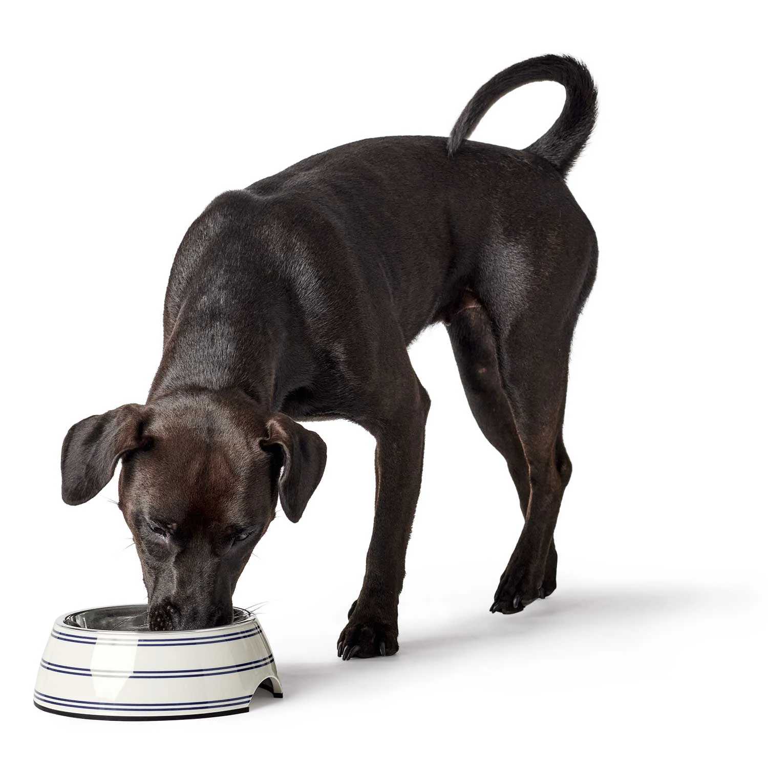 Hunter Melamin-Napf Silda 6 Hunter Melamin-Napf Silda – Bild 4