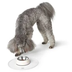 Hunter Napfunterlage Selection Rund Ø 38cm 7 Hunter Napfunterlage Selection Rund Ø 38cm -Ruffwear Verkaufsgeschäft e lIMc8b 69004 001 image 21