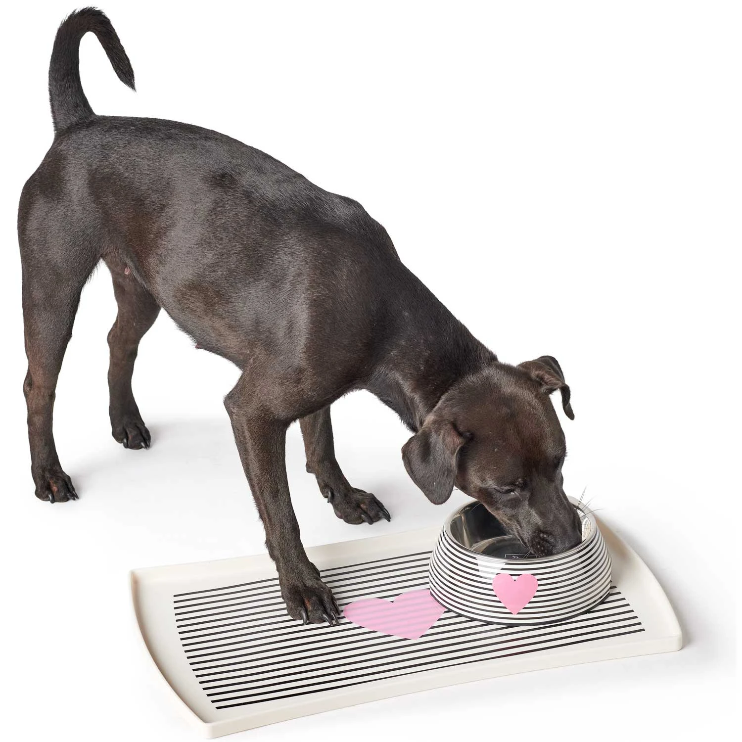 Hunter Napfunterlage Biri S Weiß/schwarz 5 Hunter Napfunterlage Biri S Weiß/schwarz – Bild 3