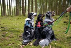 Petlando Geschirr Mesh Y-Comfort Geschirr -Ruffwear Verkaufsgeschäft emomesh