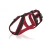 Annyx Geschirr Safety Rot / Schwarz -Ruffwear Verkaufsgeschäft geschirr safety m rot schwarz