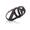 Annyx Geschirr Safety Schwarz / Braun