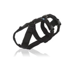 Annyx Geschirr Safety Schwarz / Schwarz