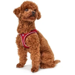 Hunter Geschirr Hilo Comfort FC Bayern München -Ruffwear Verkaufsgeschäft hilo20fc204