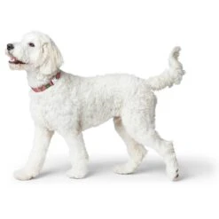 Hunter Halsung Inari Alu-Strong Pastellrot -Ruffwear Verkaufsgeschäft hunter20inari20halsung20alu20rot204