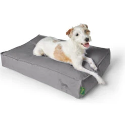 Hunter Kissen Ribe Grau 12 Hunter Kissen Ribe Grau -Ruffwear Verkaufsgeschäft hunter20kissen20ribe20grau205