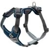 Hunter Geschirr Divo (Nylon/Polyester) -Ruffwear Verkaufsgeschäft hunter divo dunkelblaugrau01