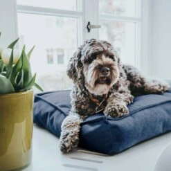 Hunter Kissen Orthopädisch Merida Royalblau -Ruffwear Verkaufsgeschäft hunter meridaroyal5