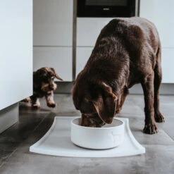 Hunter Keramik-Napf Osby Weiß -Ruffwear Verkaufsgeschäft hunter osbyweiss3
