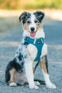 Petlando Geschirr Mesh Vest -Ruffwear Verkaufsgeschäft i GlH9Tg