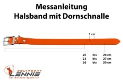 Lennie Biothane Halsband Mit Dornschnalle -Ruffwear Verkaufsgeschäft messanleitung halsband dornschnalle 13