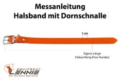 Lennie Biothane Halsband Mit Dornschnalle -Ruffwear Verkaufsgeschäft messanleitung halsband dornschnalle eigene 9 13 28129