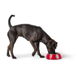 Hunter Melamin-Napf FC Bayern München -Ruffwear Verkaufsgeschäft napf20fc203