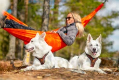 Non-stop Dogwear Rock Harness 13 Non-stop Dogwear Rock Harness -Ruffwear Verkaufsgeschäft rock harness setting 3