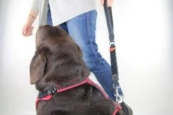 WAW Hand Kurzführer Black -Ruffwear Verkaufsgeschäft waw hand 04