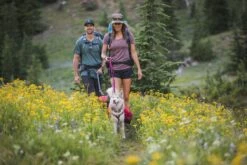 Ruffwear Palisades Pack Red Currant -Ruffwear Verkaufsgeschäft web 50202 palisades pack red currant hiking 10.aa8dcd60bfd0